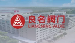 【阀门知识】减压阀的主要作用